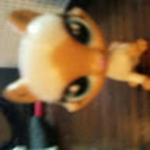 Meet your Posher, Martinez